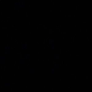 Meet your Posher, Ashlyn